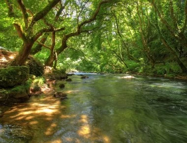 Το αντικείμενο που ψάρεψε στο ποτάμι έκανε όλη την αστυνομία να ψάχνει (βίντεο)